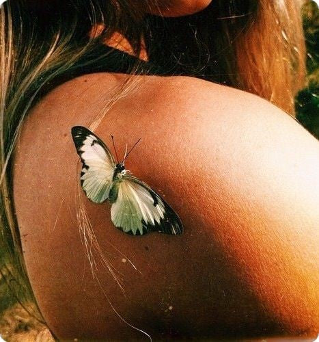 The Sacred Becoming. A Butterfly's Journey.